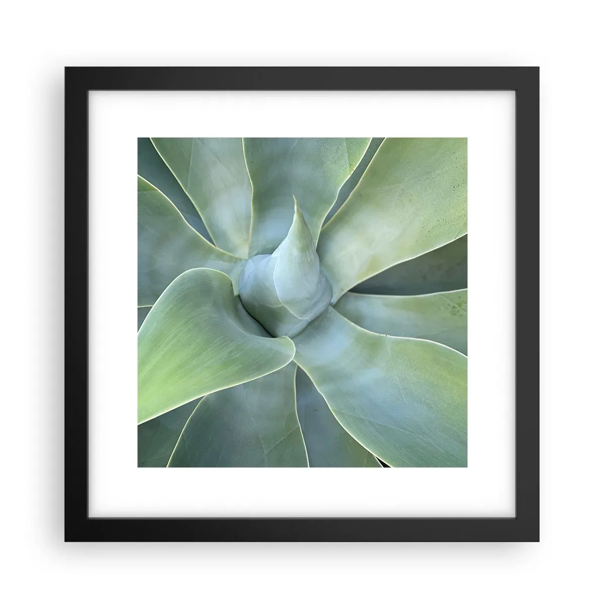 Poster în ramă neagră - Nașterea verdeții - 30x30 cm
