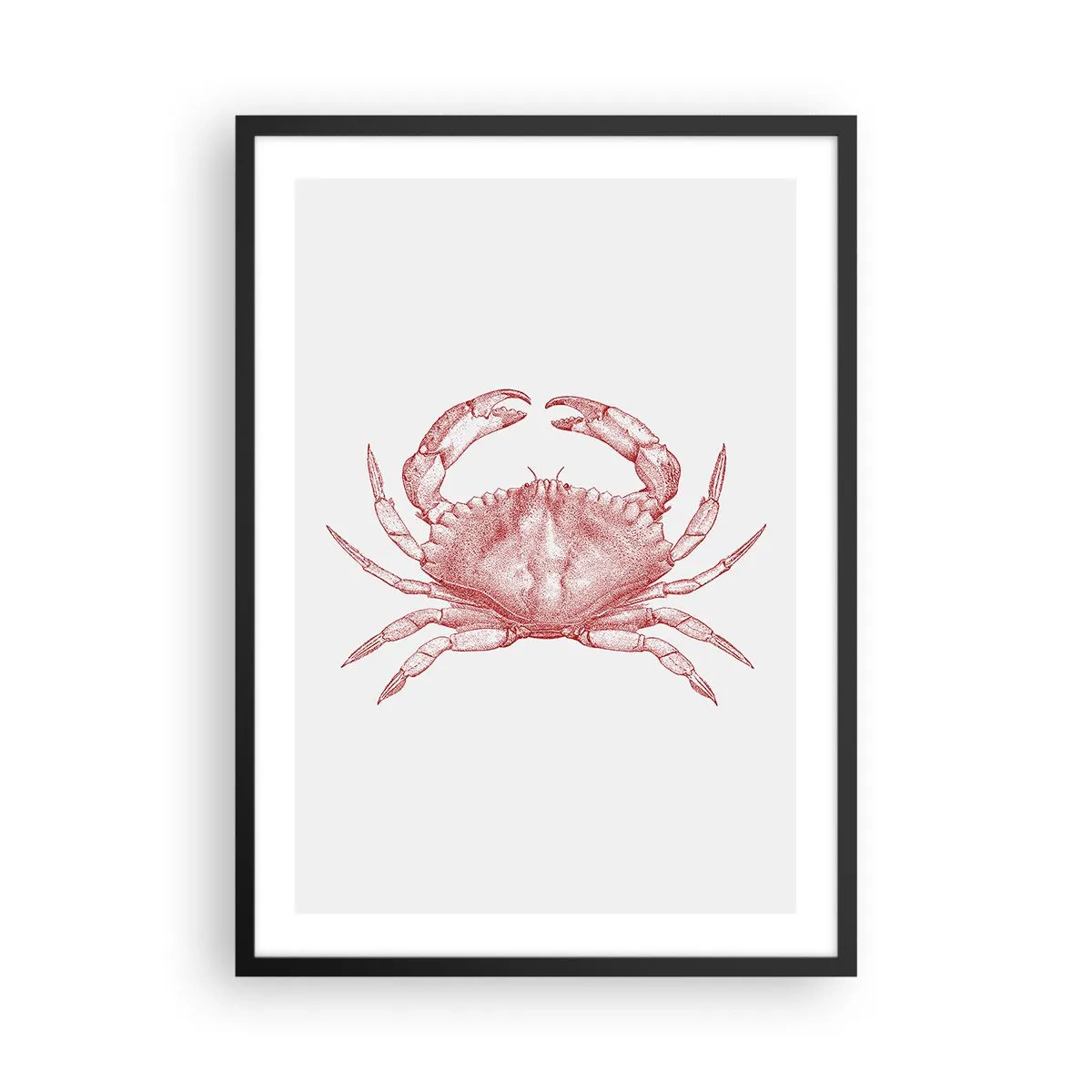 Poster în ramă neagră - Desen vintage de crab pe un fundal deschis - 50x70cm - Crab peste crabi - Decorațiune modernă pentru perete pentru living și dormitor ARTTOR