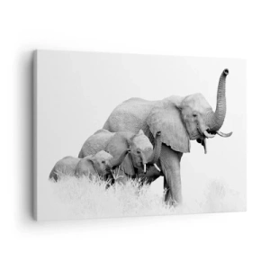 Tablou pe pânză Canvas - O familie de elefanți pe un peisaj african alb-negru. - 70x50cm - Unu, doi, trei - Decorațiune modernă pentru perete pentru living și dormitor ARTTOR