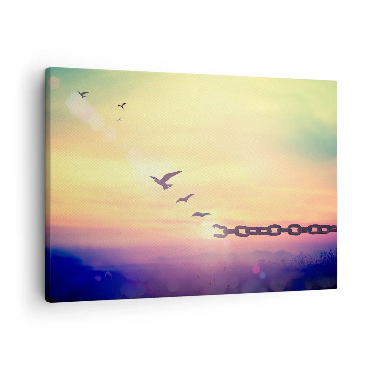 Tablou pe pânză Canvas - Simbol al libertății cu păsări și un lanț rupt - 70x50cm - Victoria libertății - Decorațiune modernă pentru perete pentru living și dormitor ARTTOR