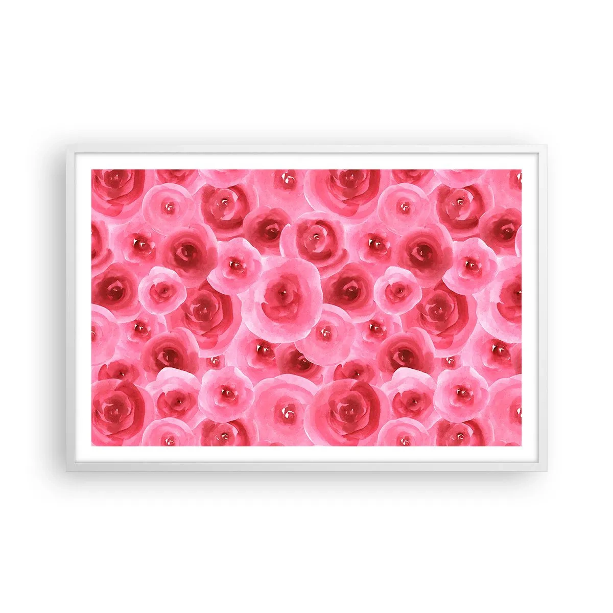 Poster în ramă albă - Trandafiri de sus în jos - 91x61 cm