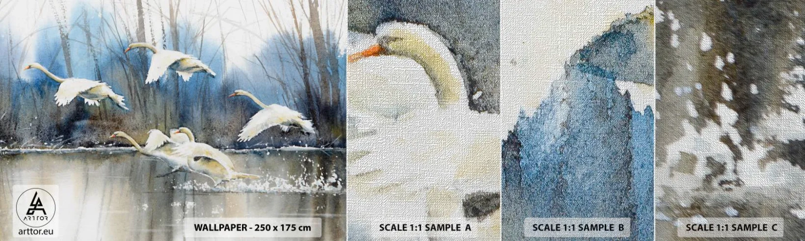 Mostră tapet Premium Canvas - Dansând cu lebedele sălbatice - Lebedele, Păsări, Peisaj - 100x30 cm