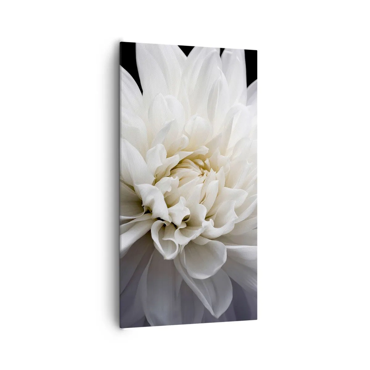 Tablou pe pânză - Dimineața miresei - 65x120 cm