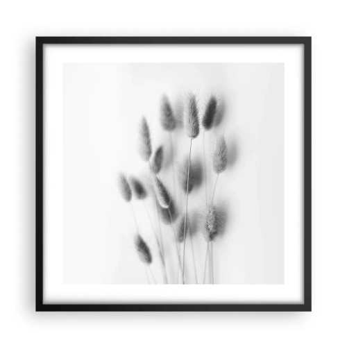 Poster în ramă neagră - Pufoșenia ierbii - 50x50 cm
