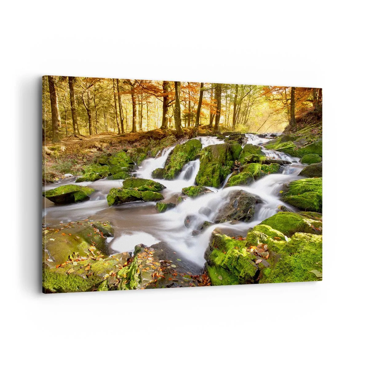 Tablou pe pânză - Repede prin pădure de toamnă - 100x70 cm