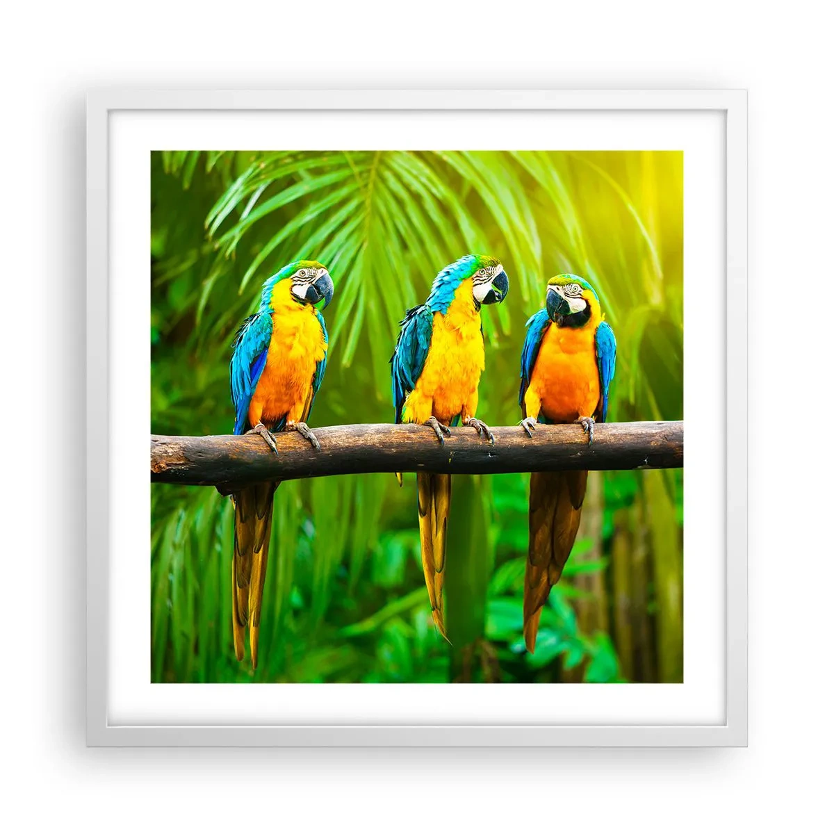 Poster în ramă albă - Și ai auzit că ea...? - 50x50 cm