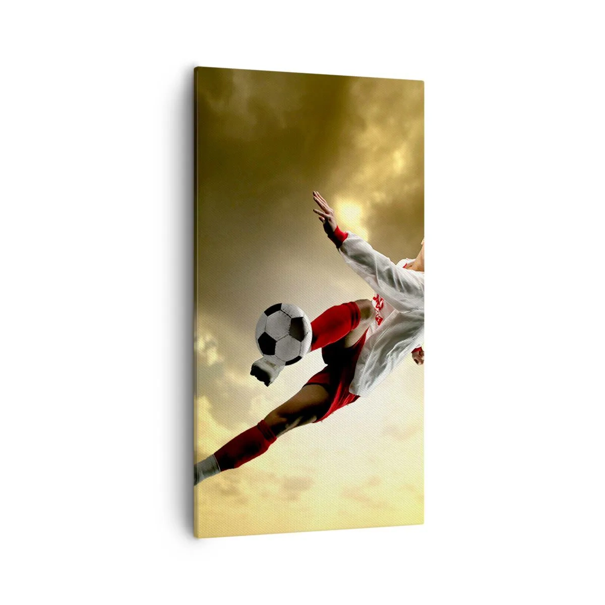 Tablou pe pânză - Cerul fotbalului - 55x100 cm