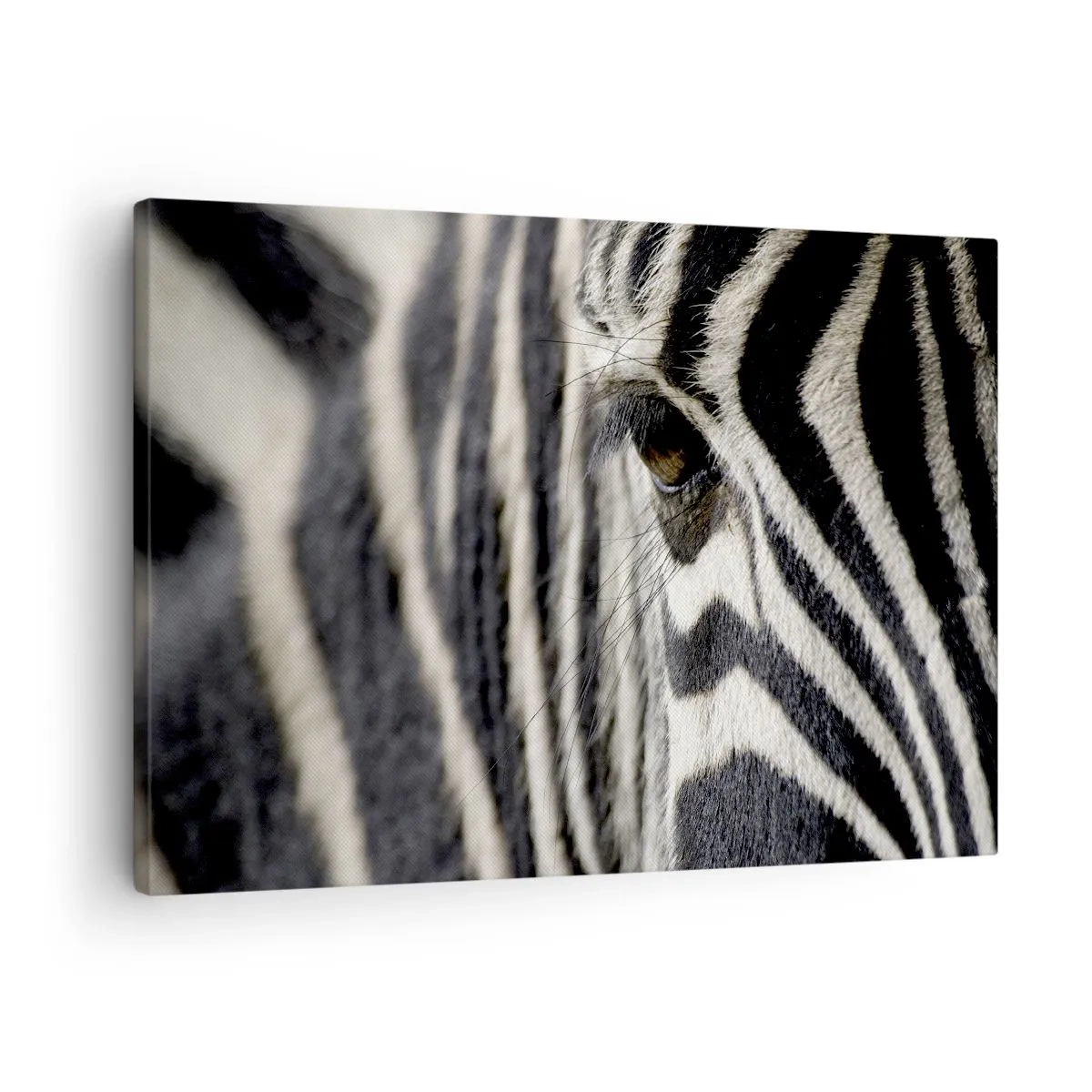 Tablou pe pânză Canvas - Prim-plan al ochiului unei zebre cu dungi albe și negre - 70x50cm - Portret cu dungi - Decorațiune modernă pentru perete pentru living și dormitor ARTTOR