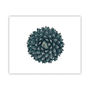 Poster - Steaua deșertului - 50x40 cm