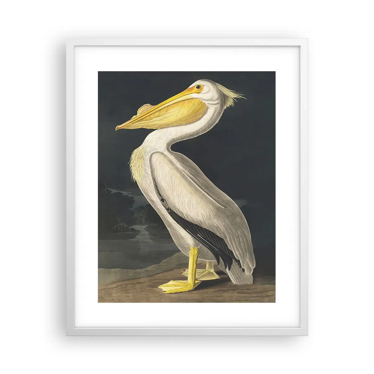 Poster în ramă albă - Plin de mândrie - 40x50 cm