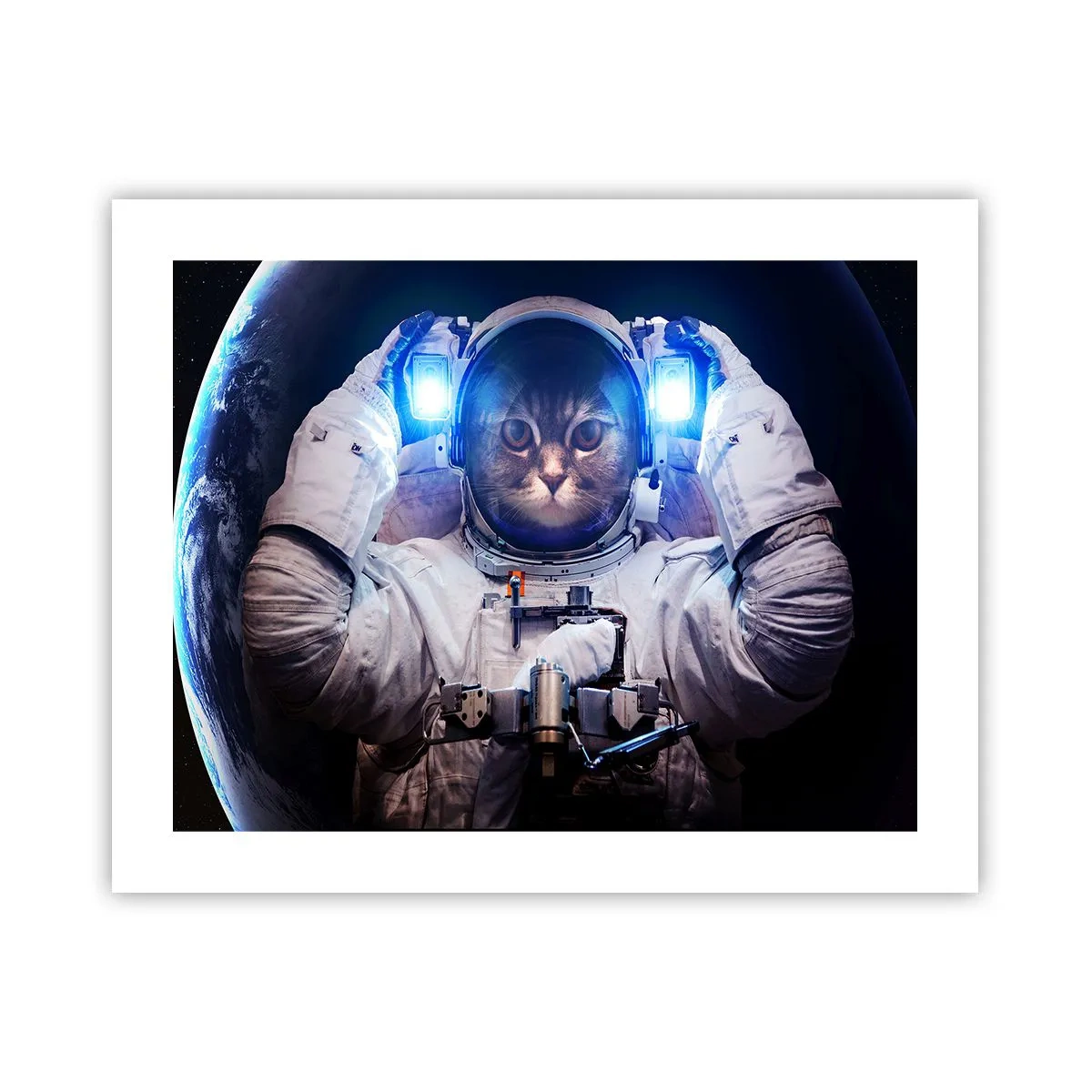 Poster - Houston, aveți o problemă - 50x40 cm
