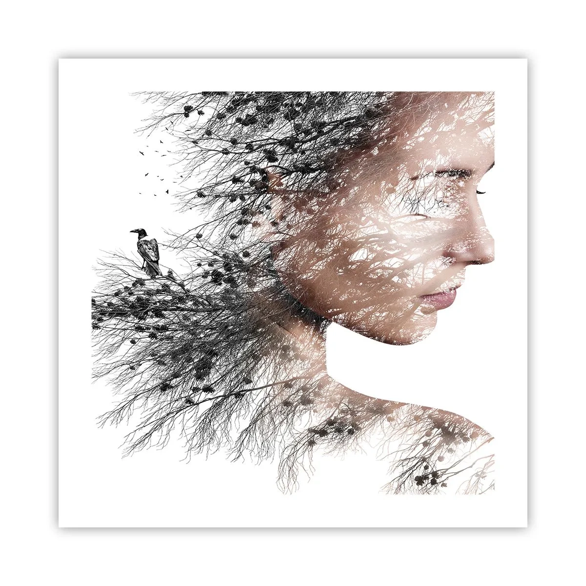 Poster - Spiritul pădurii - 50x50 cm
