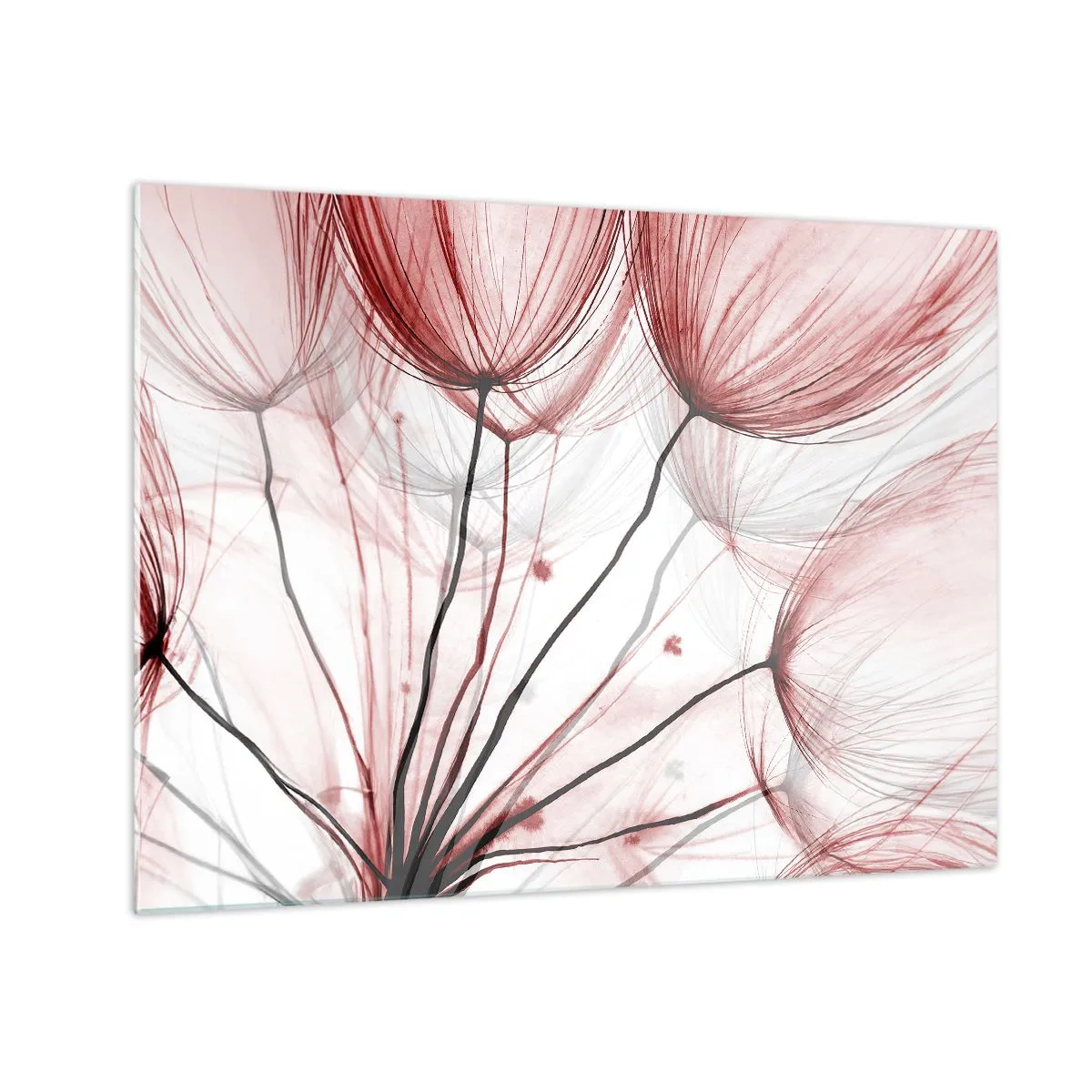 Tablou pe sticlă - Păpădii subtile în nuanțe de roz și negru - 70x50cm - Înainte de plecare - Decorațiune modernă pentru perete pentru living și dormitor ARTTOR