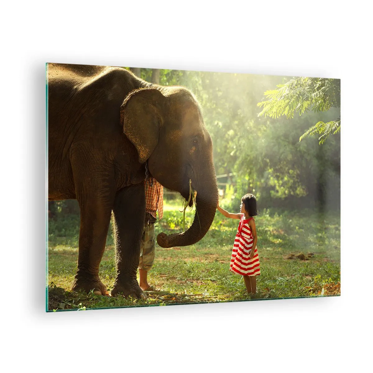 Tablou pe sticlă - O fată într-o rochie roșie atingând un elefant în pădure. - 70x50cm - Puterea prieteniei - Decorațiune modernă pentru perete pentru living și dormitor ARTTOR