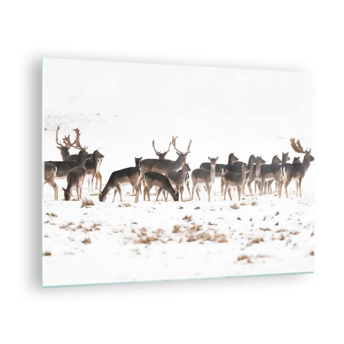 Tablou pe sticlă - O fotografie a unei turme de căprioare într-un peisaj înzăpezit - 70x50cm - Vine Crăciunul? - Decorațiune modernă pentru perete pentru living și dormitor ARTTOR