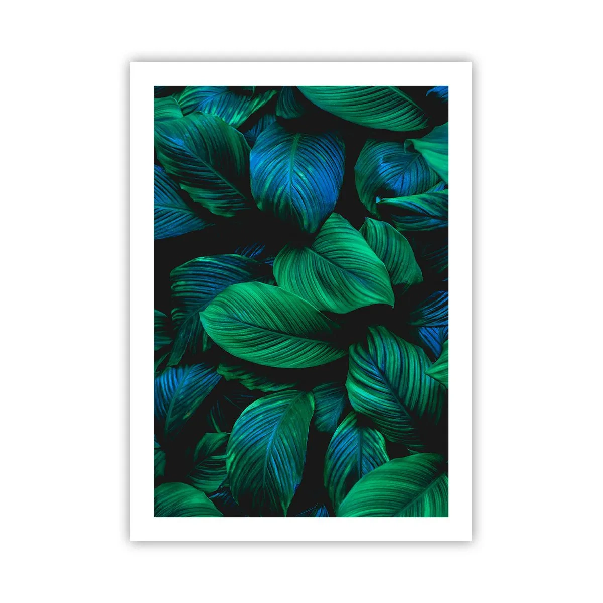 Poster - Traficul verde - 50x70 cm