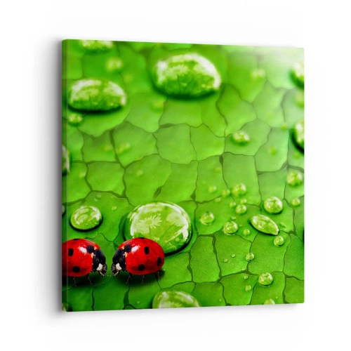 Tablou pe pânză - Întâlnire în verde - 30x30 cm