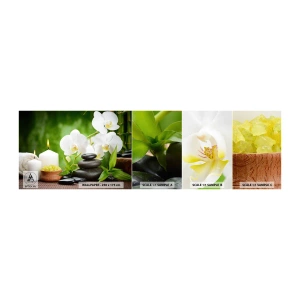Mostră tapet autocolant Deluxe Sticker - Fragrant, floral, atingere delicată - Flori, Orhidee, Orhidee - 100x30 cm