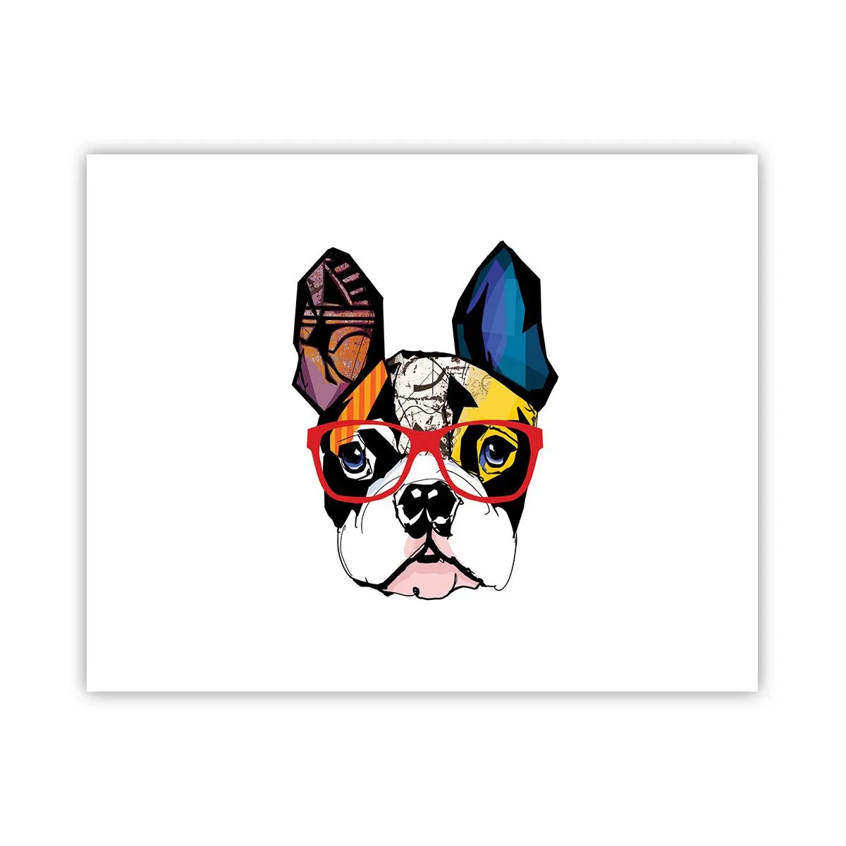 Poster - Intelectualist - 50x40 cm