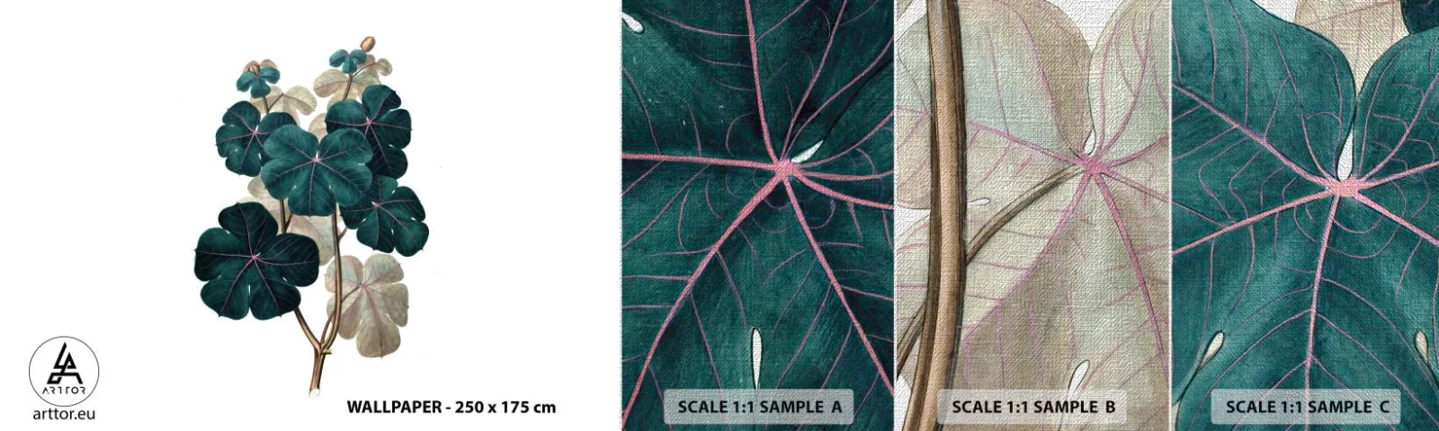 Mostră tapet Premium Canvas - Dintr-un vechi ierbar - Plantă, Frunze, Botanică - 100x30 cm