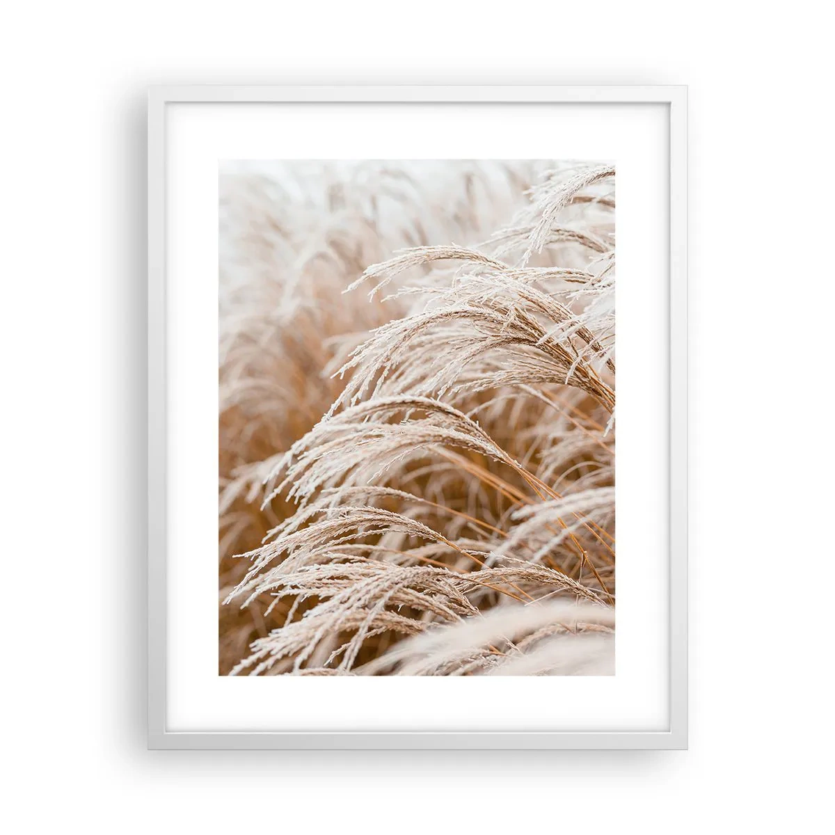 Poster în ramă albă - Închinându-se la soarele toamnei - 40x50 cm