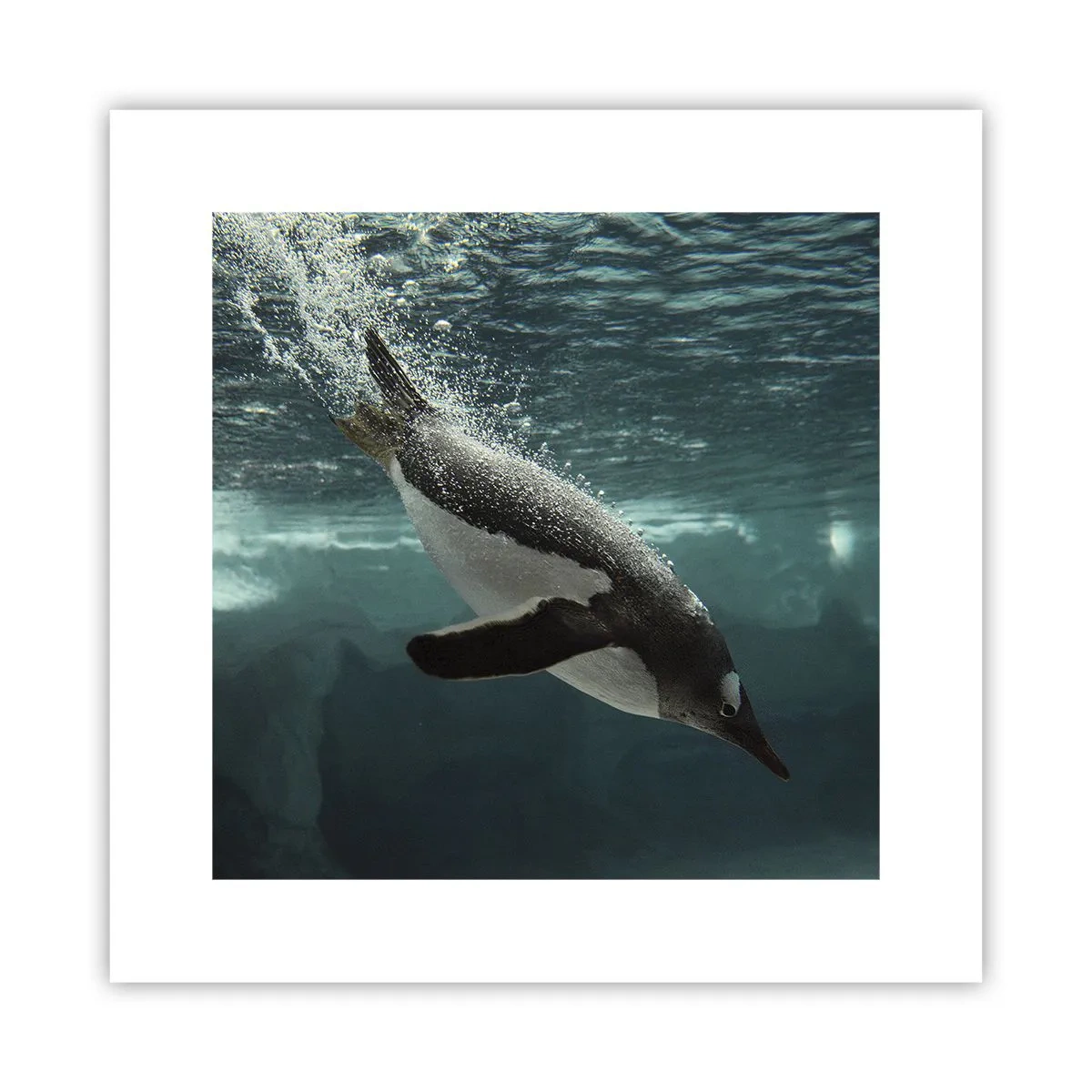 Poster - Bun venit în lumea mea - 30x30 cm