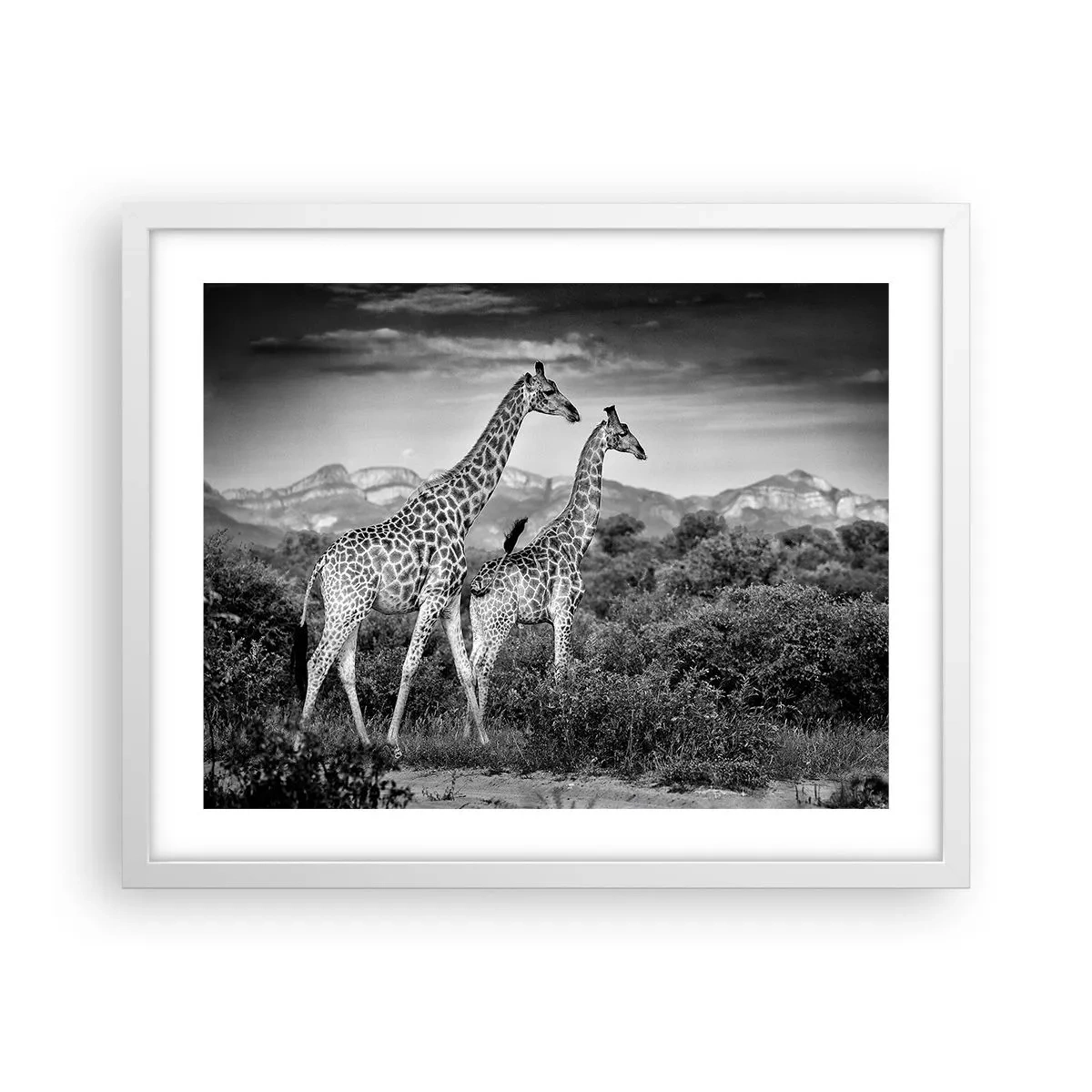 Poster în ramă albă - Clasele superioare din Africa - 50x40 cm