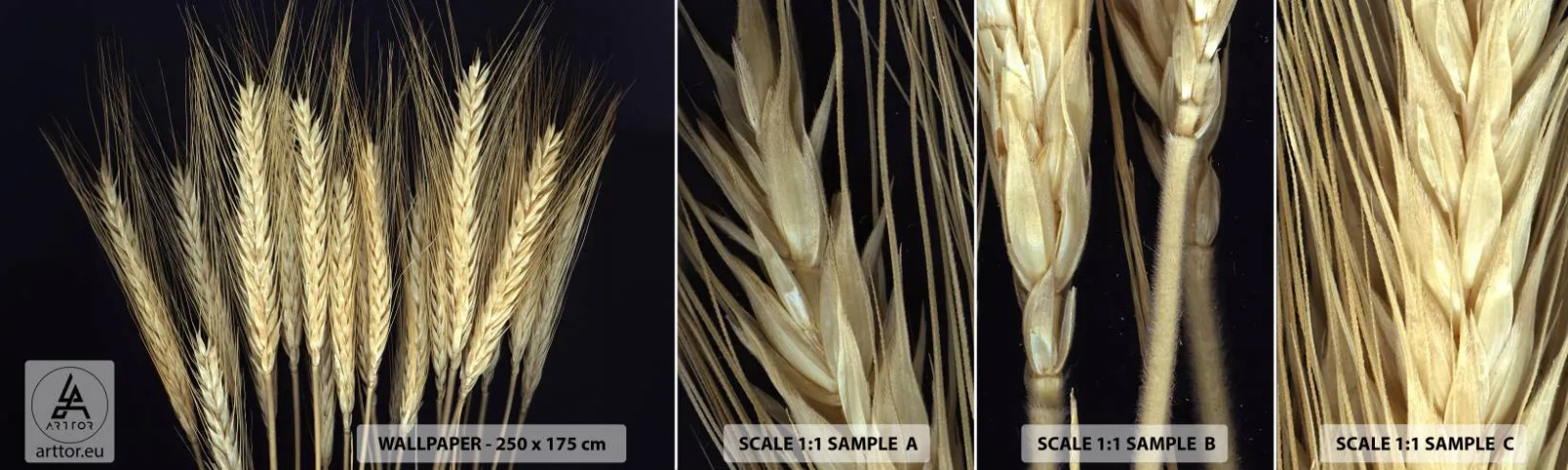 Mostră de Tapet Standard Eco - Magie rustică - Cereale, Plante, Natură - 100x30 cm