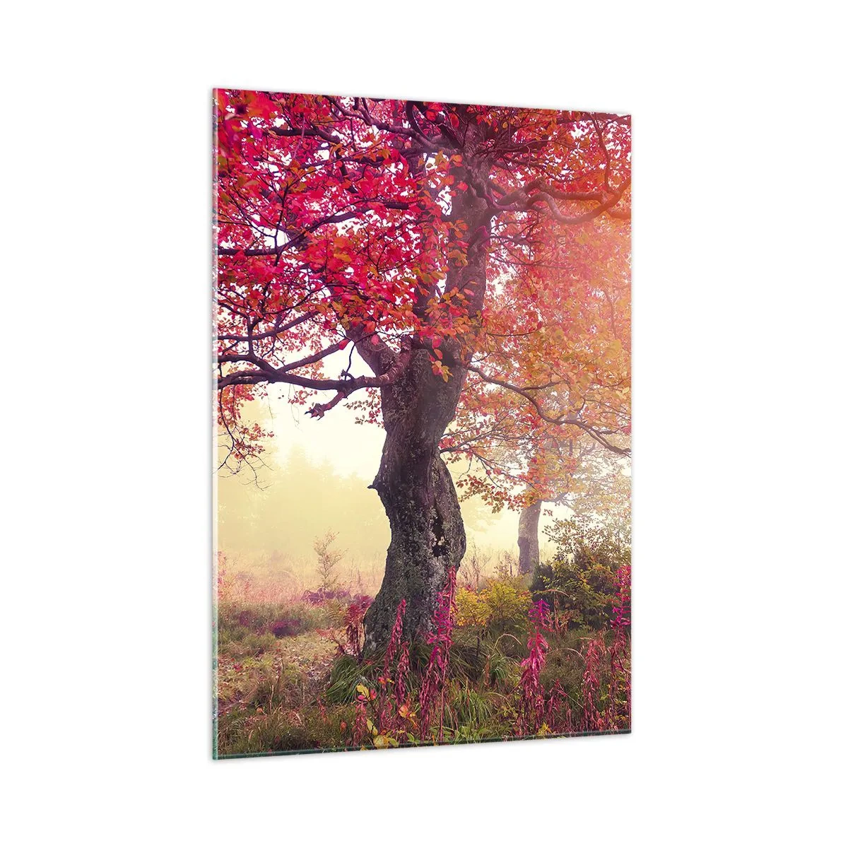 Tablou pe sticlă - O frenezie de înflorire - 50x70 cm