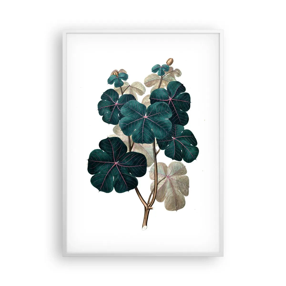 Poster în ramă albă - Dintr-un vechi ierbar - 70x100 cm