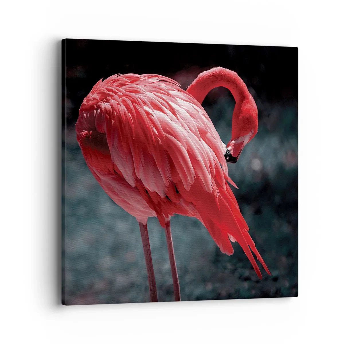 Tablou pe pânză - Poemul purpuriu al naturii - 40x40 cm