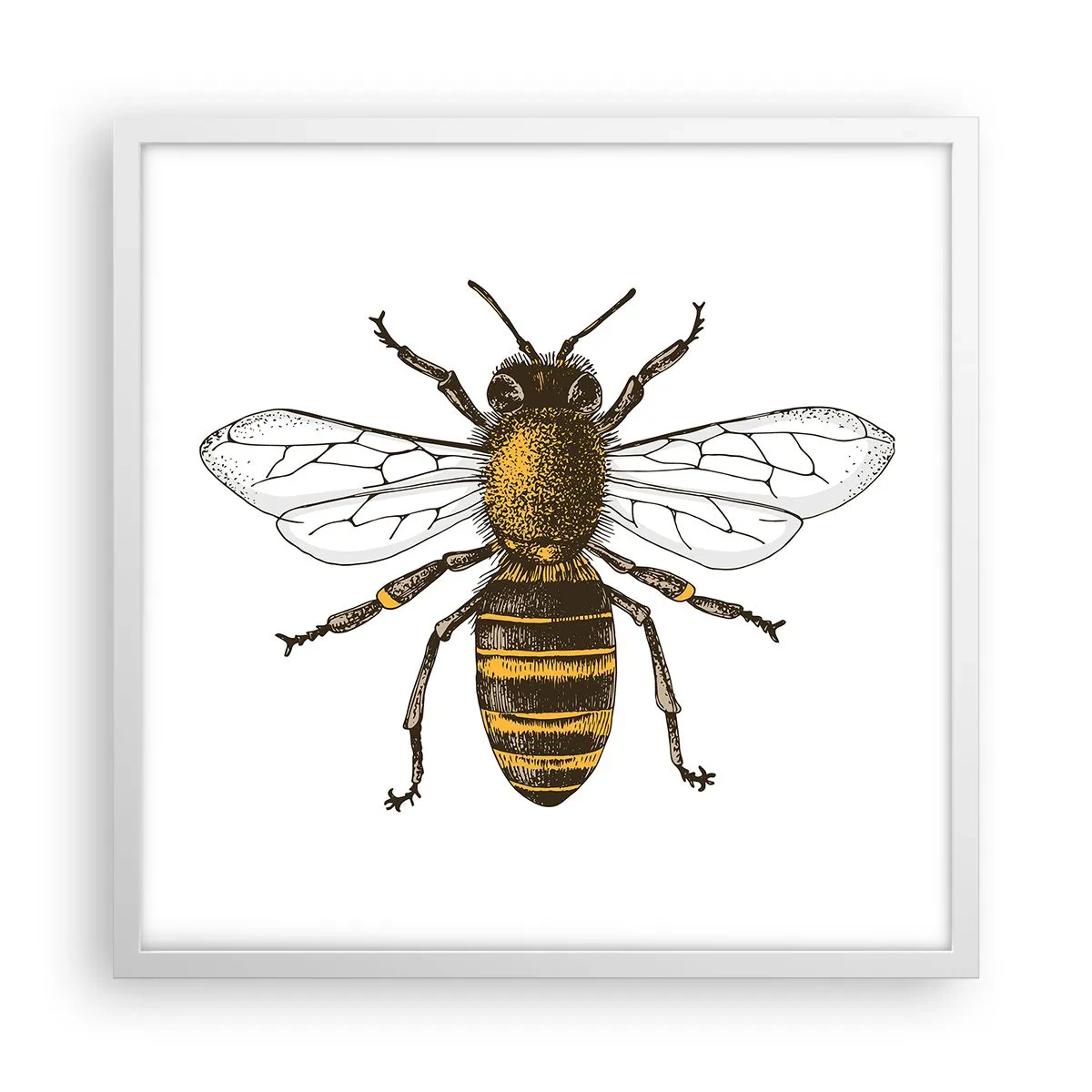 Poster în ramă albă - Frumoasă și bună - 50x50 cm