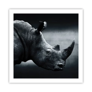 Poster - Profil drept - 60x60 cm