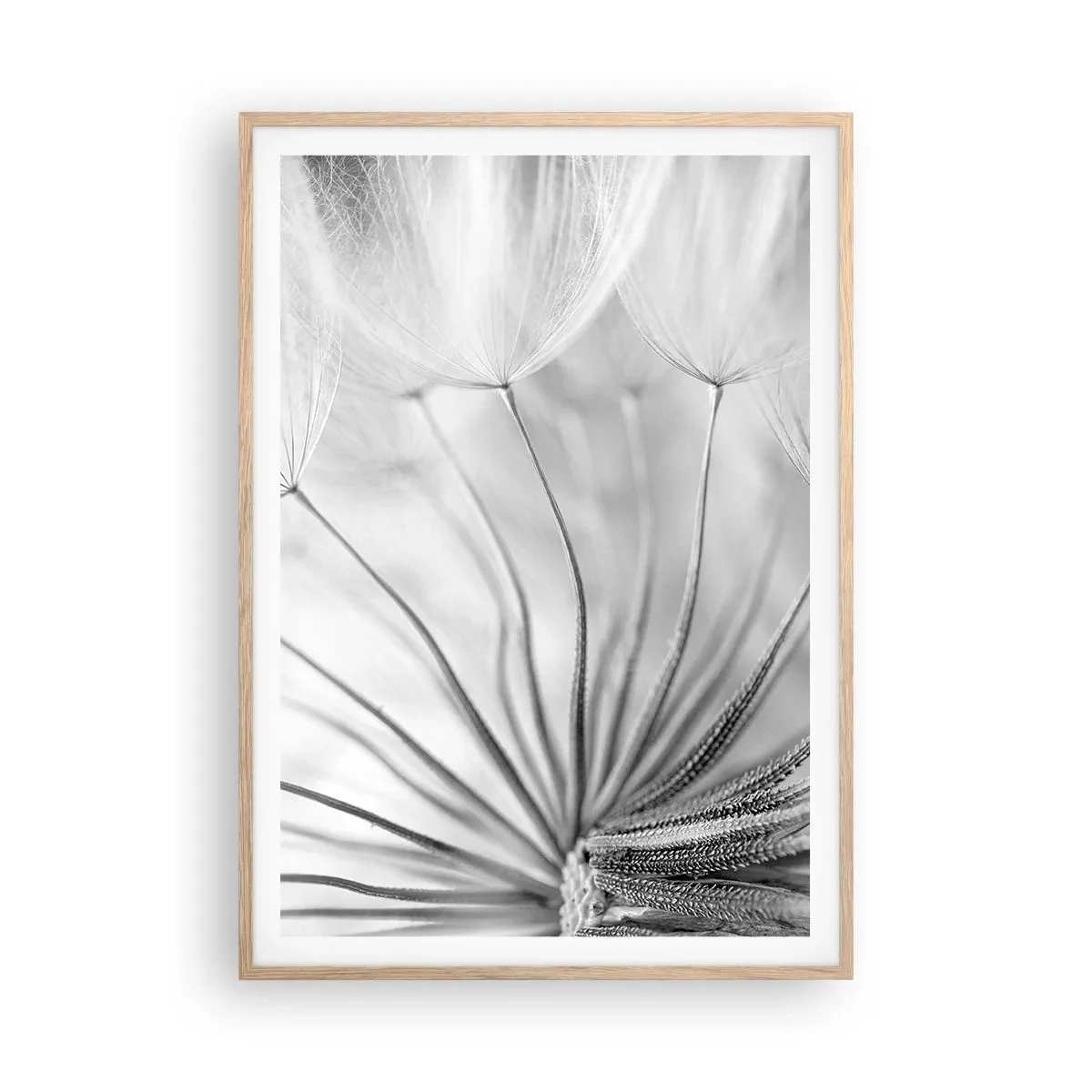 Poster în ramă de stejar deschis - Suflarea zmeilor - 70x100 cm