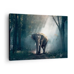 Tablou pe pânză Canvas - Elefant în lumina pădurii - 70x50cm - O plimbare liniștită - Decorațiune modernă pentru perete pentru living și dormitor ARTTOR