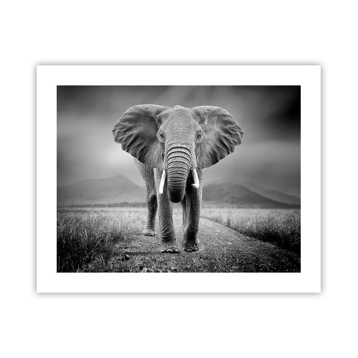 Poster - Gazda te salută - 50x40 cm