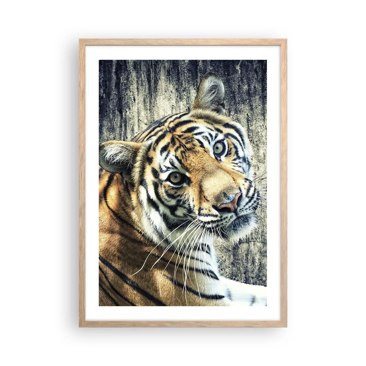 Poster în ramă de stejar deschis - Portret în fluxuri de lumină - 50x70 cm