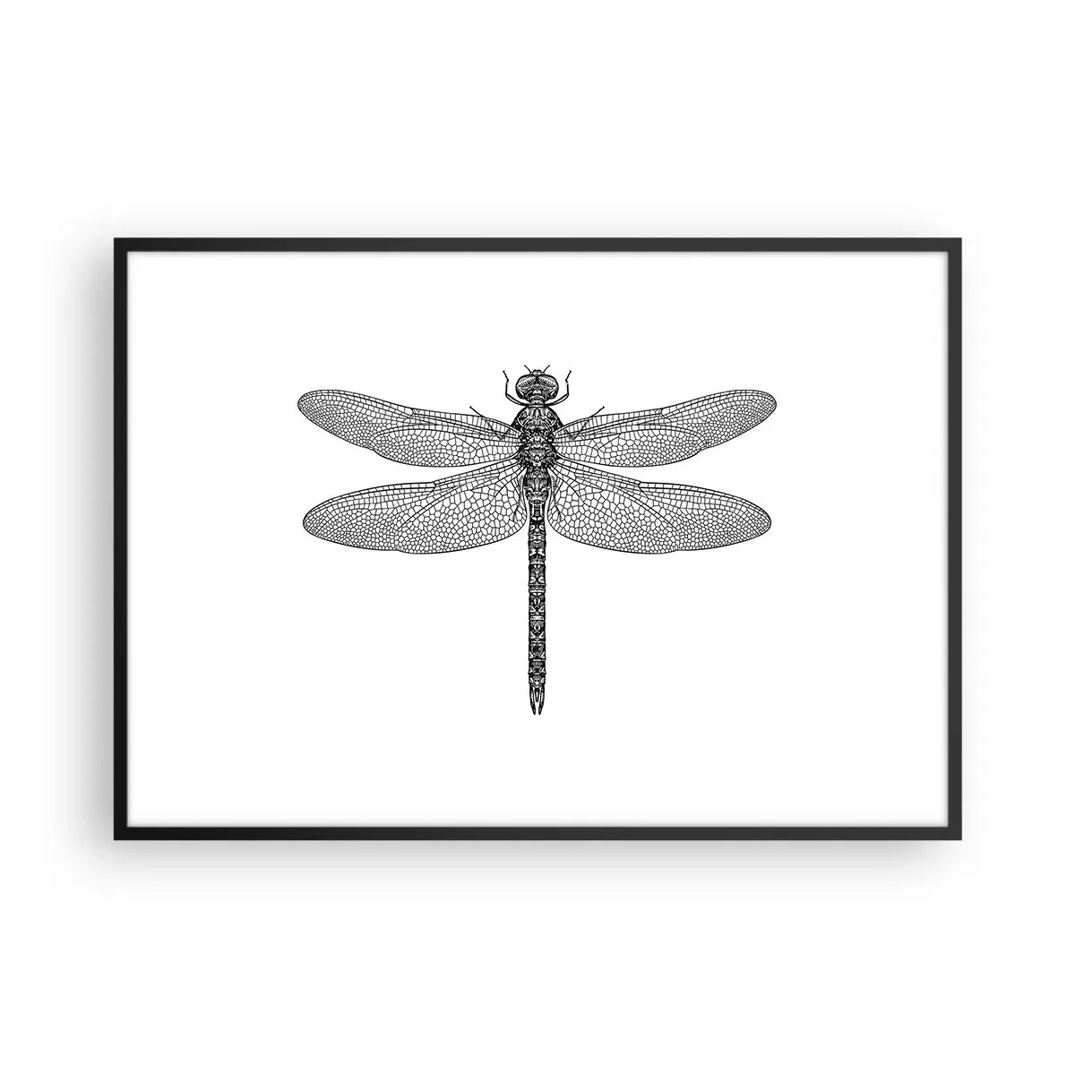 Poster în ramă neagră - Precizia naturii - 100x70 cm