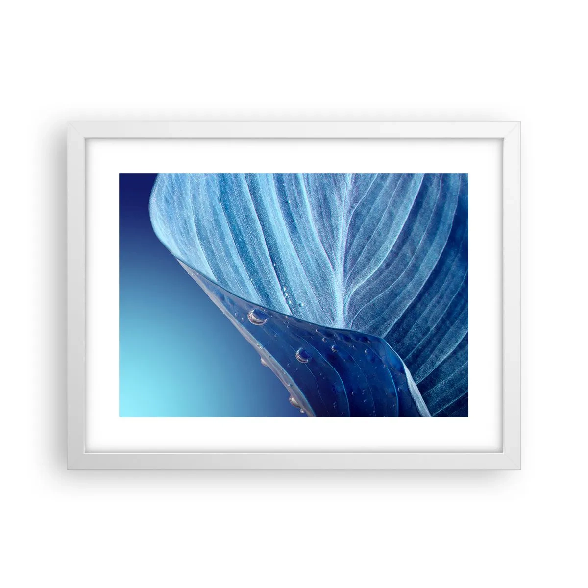Poster în ramă albă - Picături ascunse de albastru - 40x30 cm