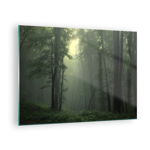 Tablou pe sticlă - O pădure întunecată învăluită în ceață cu raze de lumină - 70x50cm - Înainte să se trezească - Decorațiune modernă pentru perete pentru living și dormitor ARTTOR