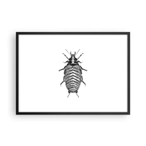 Poster în ramă neagră - Ce specimen! - 70x50 cm