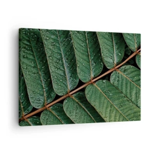 Tablou pe pânză Canvas - Fotografie macro cu frunze verzi cu picături de rouă - 70x50cm - Într-un ritm verde - Decorațiune modernă pentru perete pentru living și dormitor ARTTOR