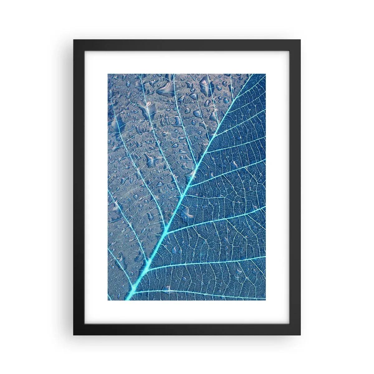 Poster în ramă neagră - Viața în albastru - 30x40 cm