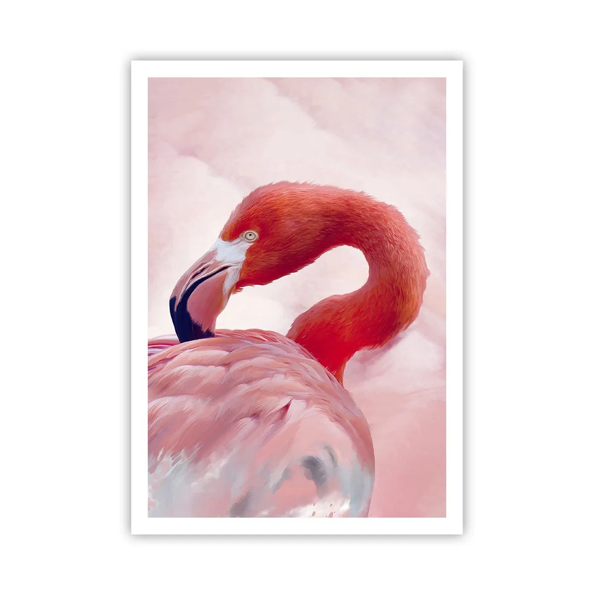 Poster - Frumusețea păsărilor - 70x100 cm