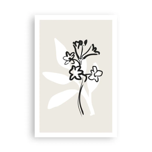 Poster - Schiță pentru ierbar - 61x91 cm