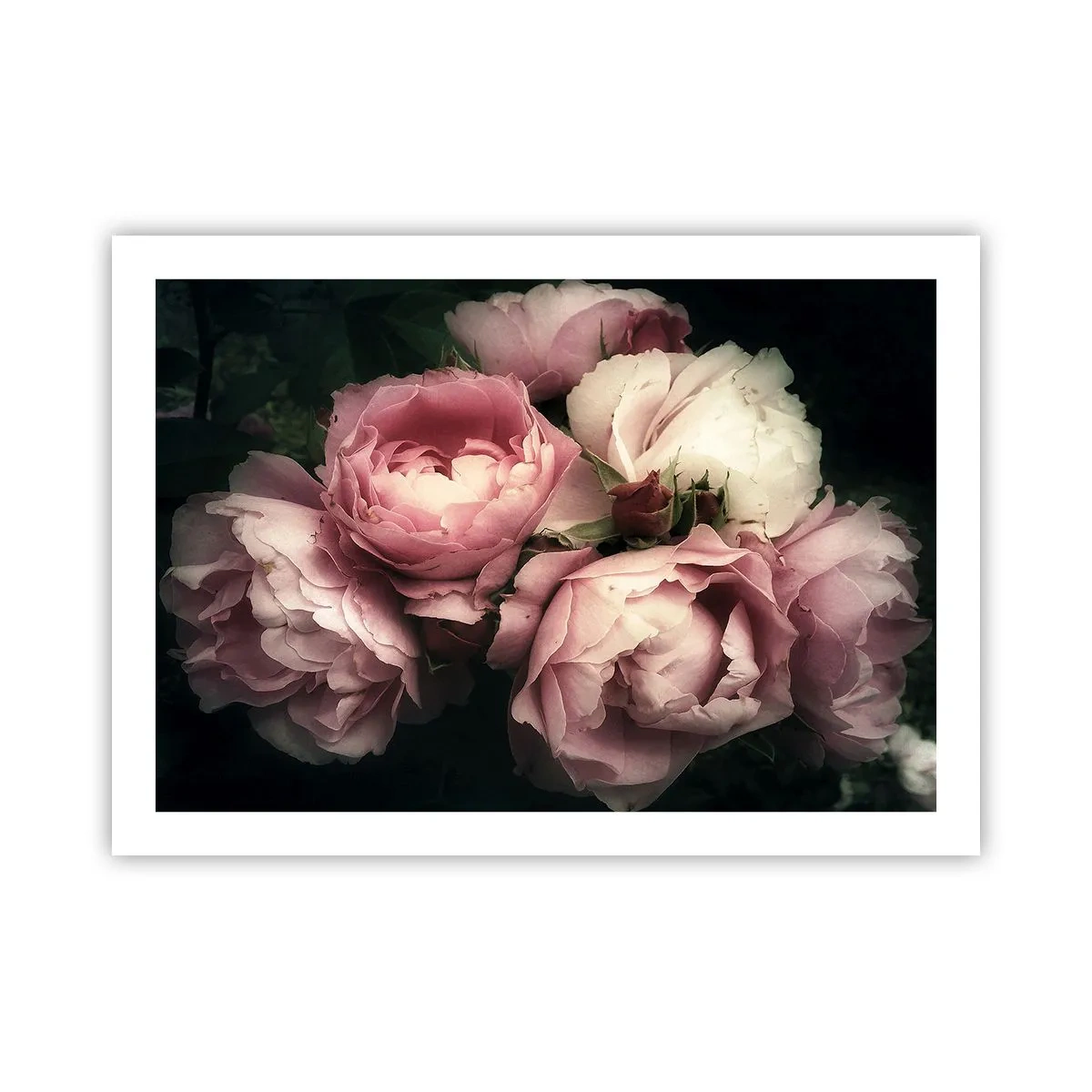 Poster - Farmecul belle epoque - 70x50 cm