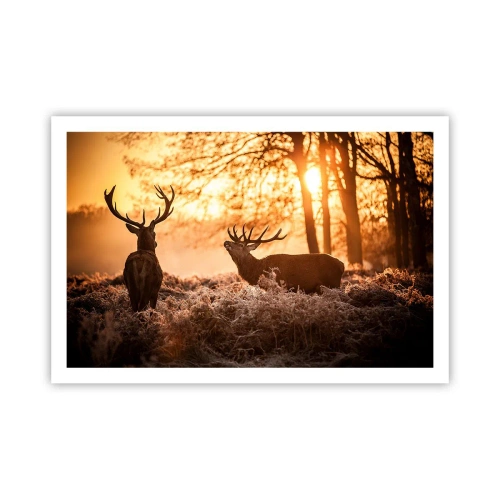 Poster - Visul unui vânător - 91x61 cm