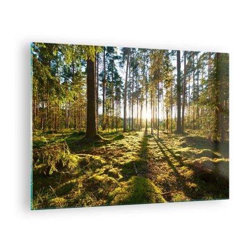 Tablou pe sticlă - Razele soarelui pătrund printre copacii din pădure - 70x50cm - Pădurea misterioasă - Decorațiune modernă pentru perete pentru living și dormitor ARTTOR