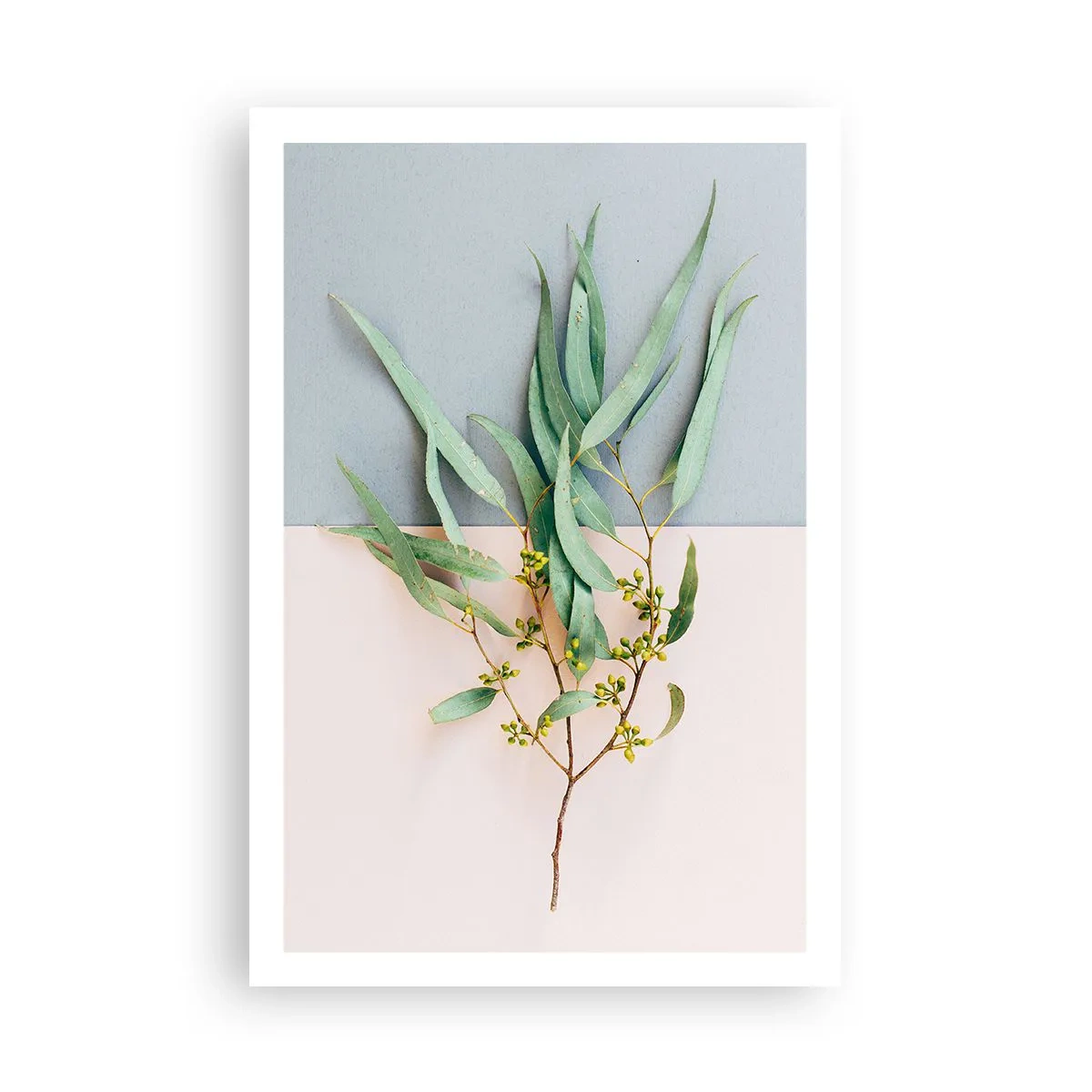 Poster - Subtilitate pastelată - 61x91 cm