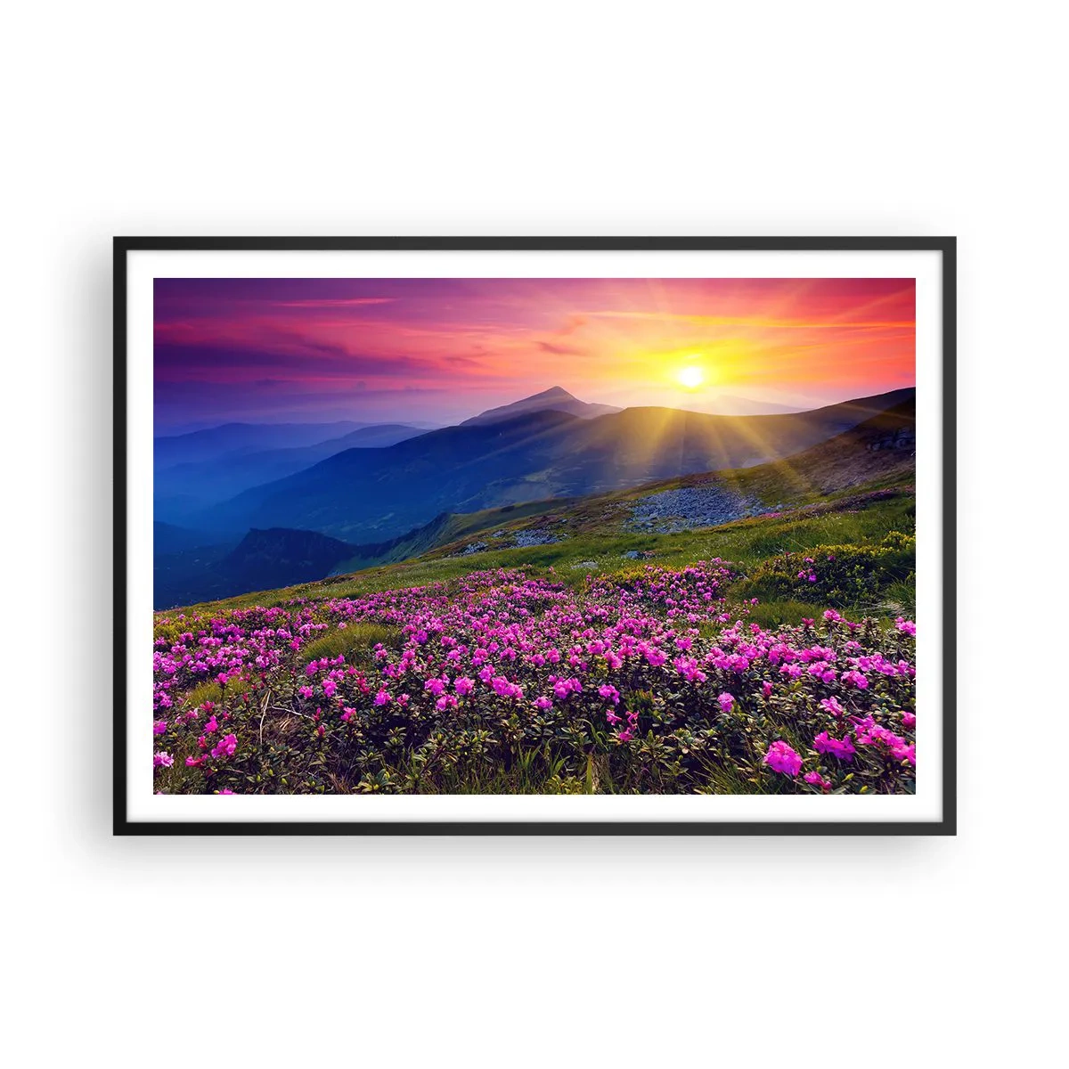 Poster în ramă neagră - ... Și peste tot în jur se simte un miros de jneapăn și parfum de ierburi... - 100x70 cm